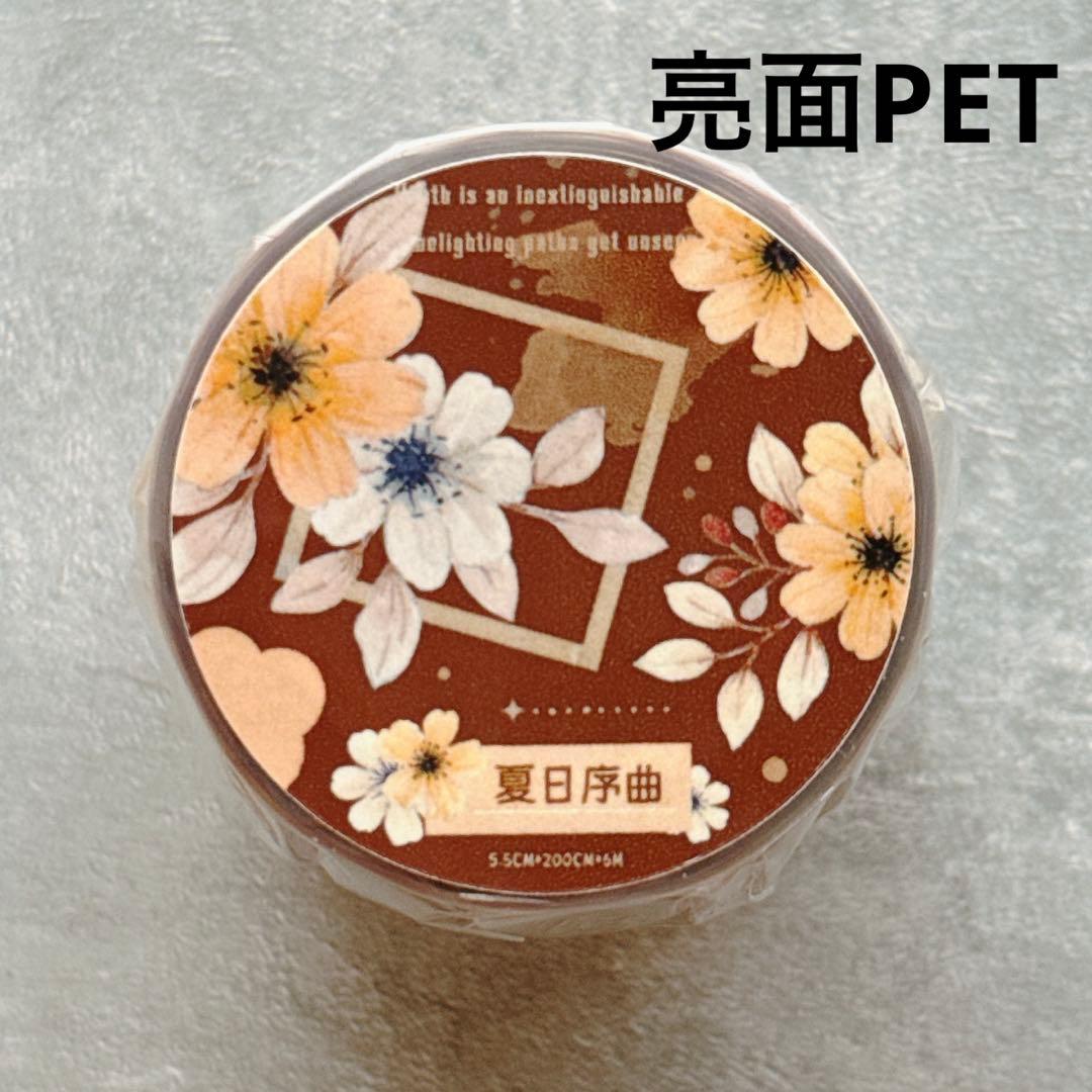 小白家文創《夏日序曲》海外マスキングテープ　マステ 【2519】