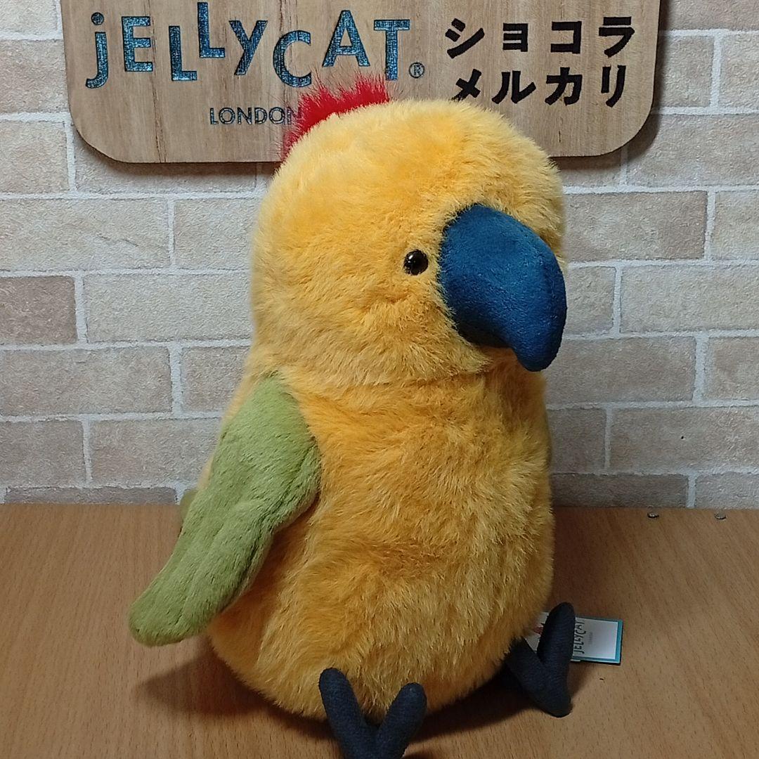 ジェリーキャット インコ 鸚哥  Budgeby Parrot