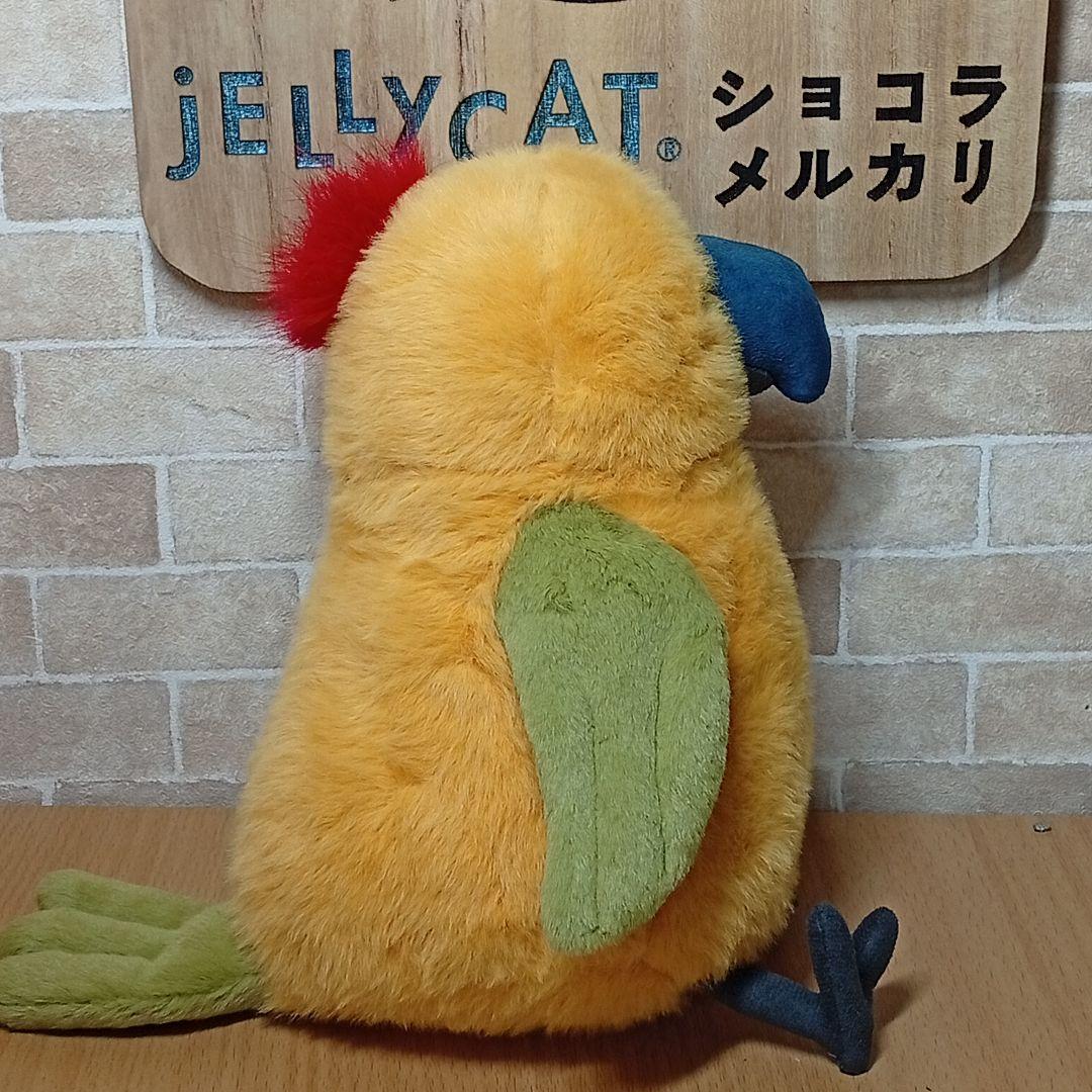 ジェリーキャット インコ 鸚哥  Budgeby Parrot