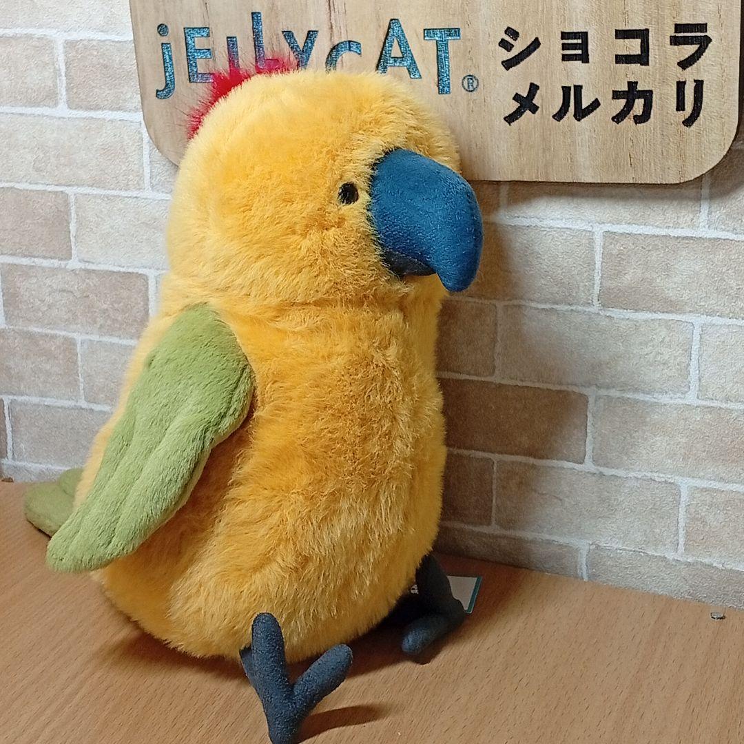 ジェリーキャット インコ 鸚哥  Budgeby Parrot