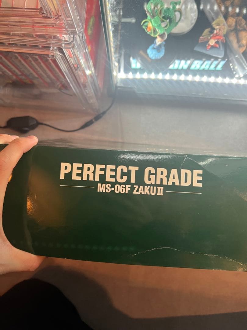 MS-06F ZAKU-II パーフェクトグレード　PG