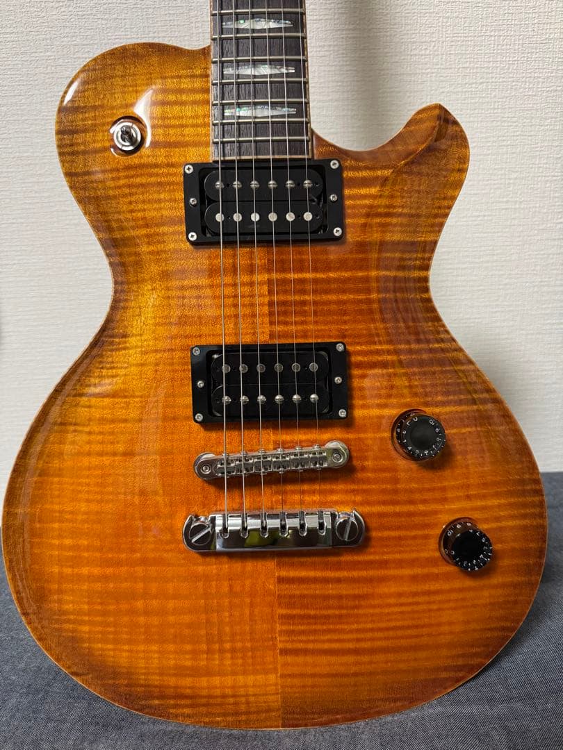 ギター FUJIGEN EFL-FM/VV