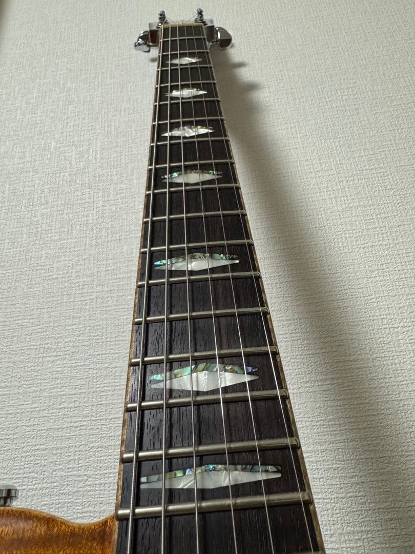 ギター FUJIGEN EFL-FM/VV