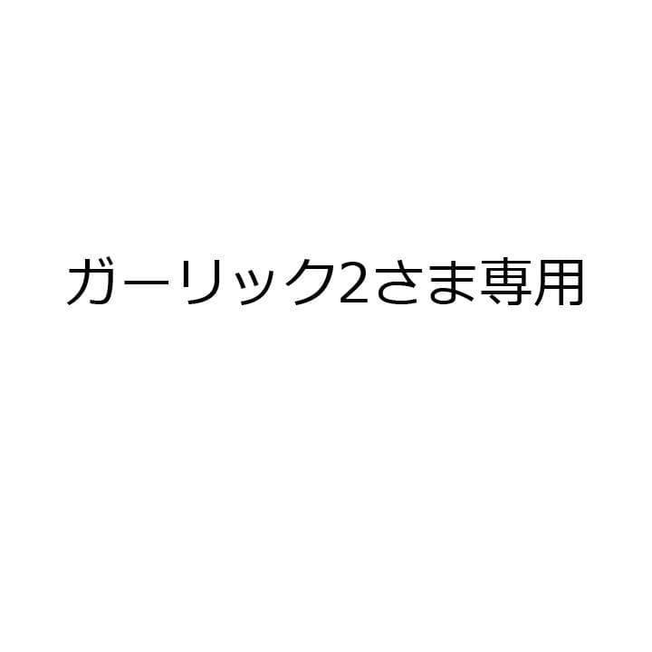 ガーリック2さま　専用　お支払いは製作後でお願いいたします。