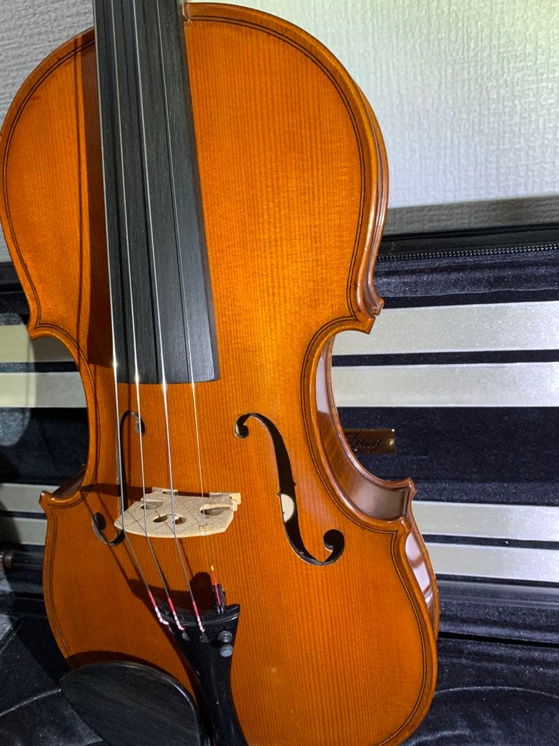 Gliga Gem1 ルーマニア製　4/4 フルサイズ　バイオリン