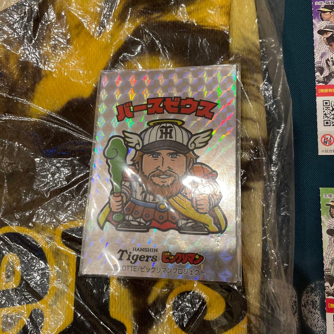 阪神 タイガース 使用済み 2023 優勝 チケット ユニフォーム バース