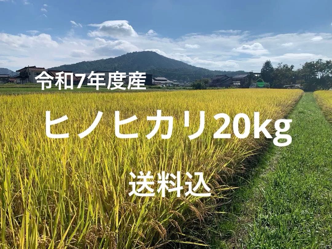 令和7年度産ヒノヒカリ20kg玄米(送料込)農家のお米