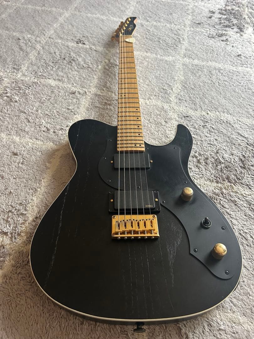 ギター FNG FUJIGEN JIL-ASH-DE664 EMG