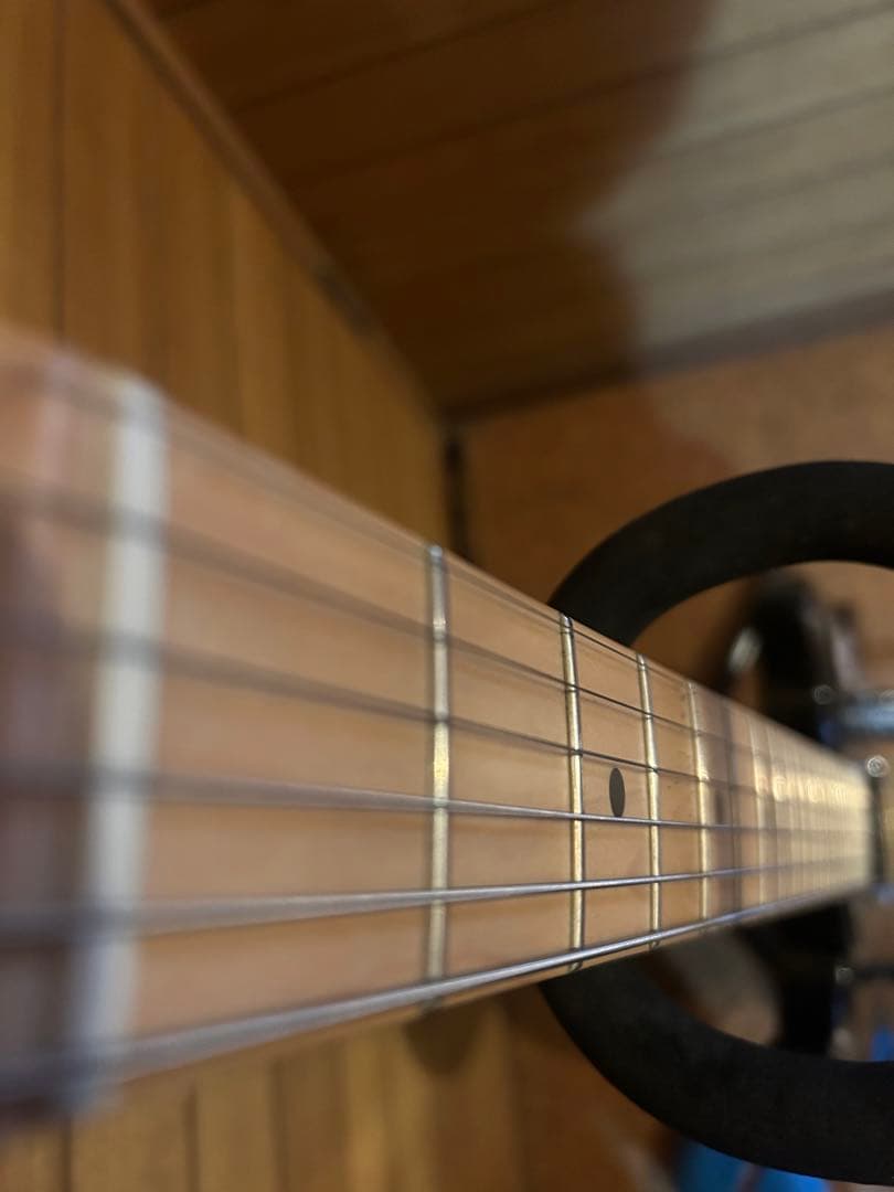 中古　レア！Bacchus BSG Hybrid + Tex-mex PU