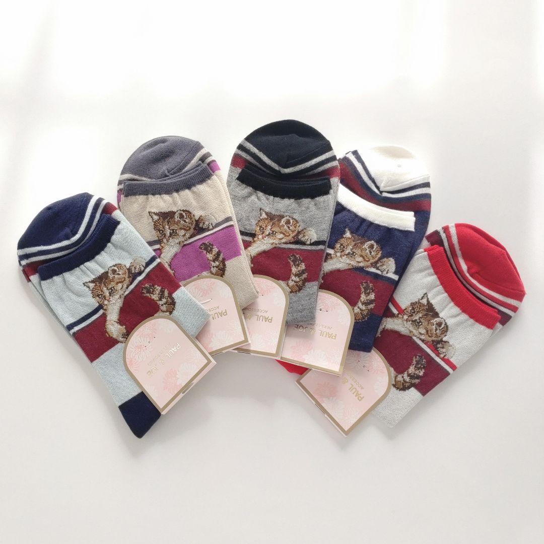 ポール&ジョー　ソックス　5足　ヌネット　猫　ネコ　ねこ　キジトラ　レア　希少