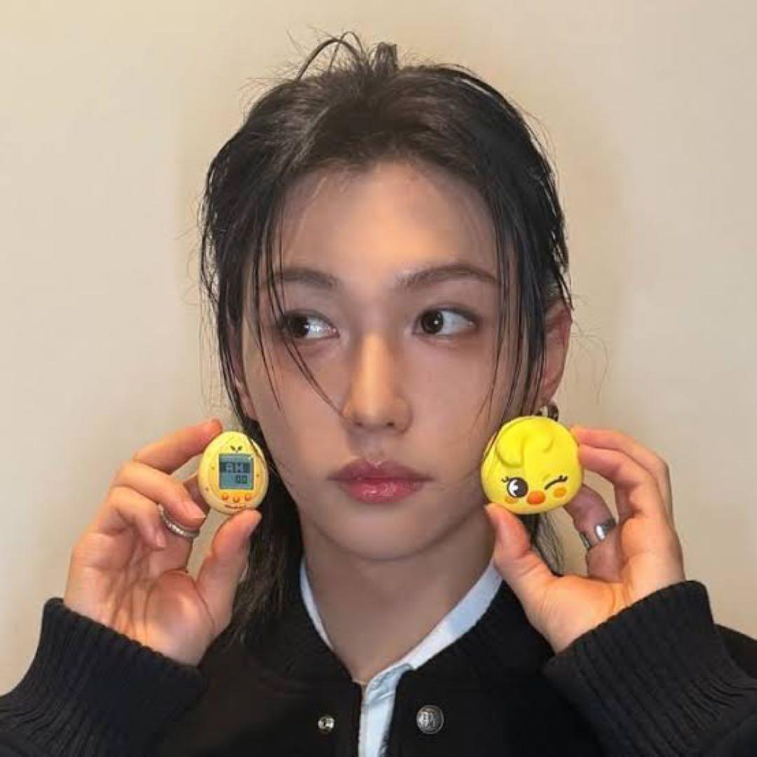 スキズ　SKZOO たまごっち ポガリ BbokAri 全員分特典トレカ付き