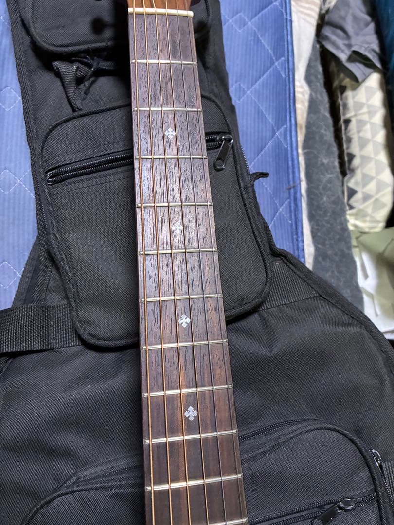 ARIA Dreadnought AF−505 オール単板！スノーフレーク