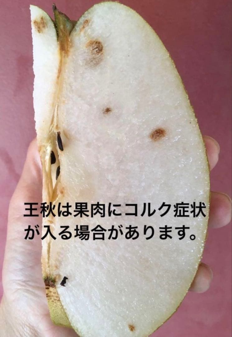 ゆり　ご家庭用 王秋梨 6玉入り 5玉入り １箱ずつ