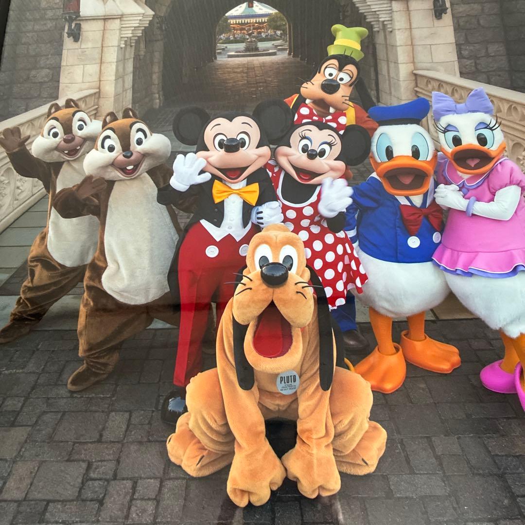 ディズニー　イマジニングザマジック　実写　フォトパネル　ポスター　額入り