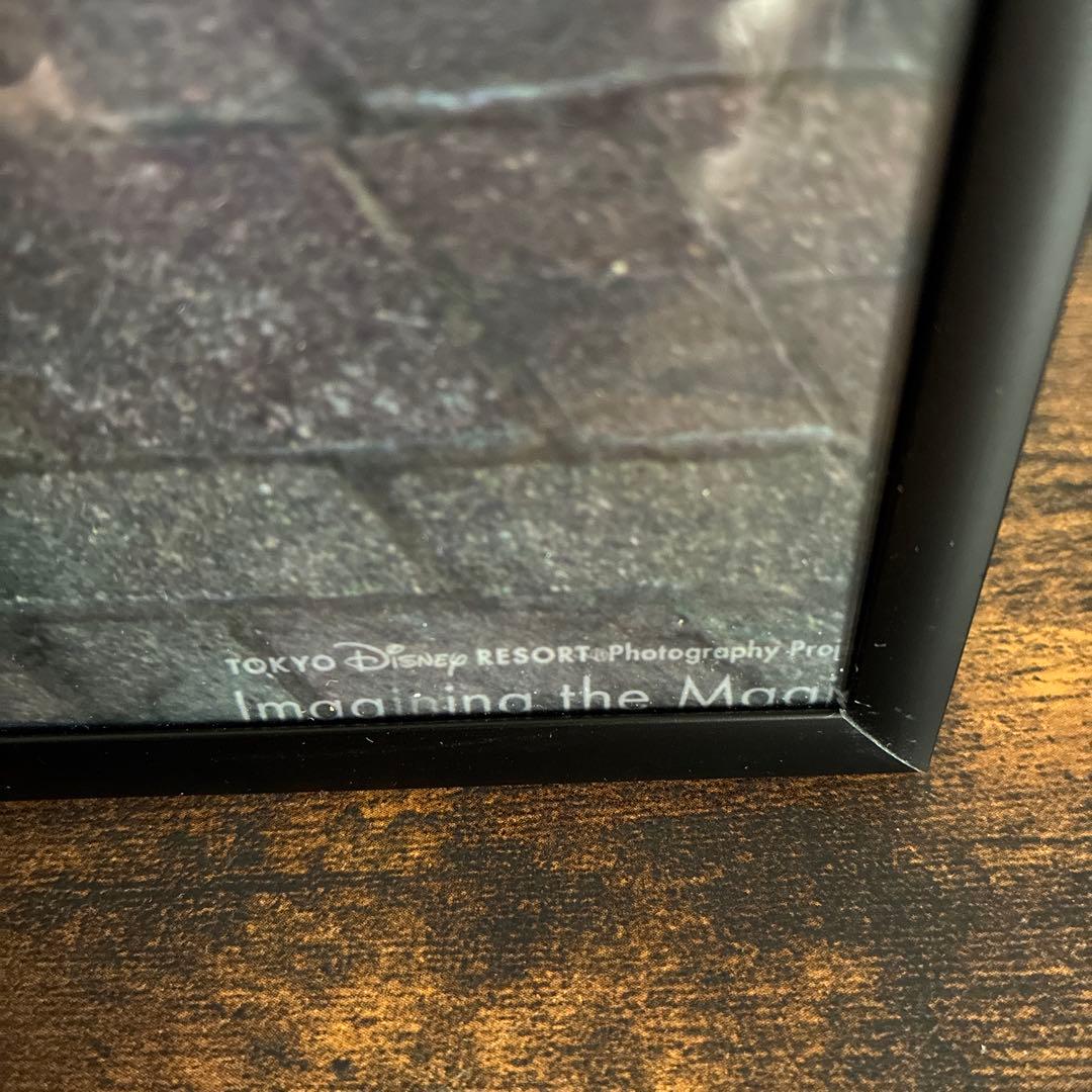 ディズニー　イマジニングザマジック　実写　フォトパネル　ポスター　額入り
