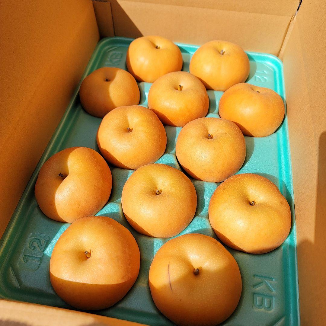 南水ご家庭用10キロ 1点のみ