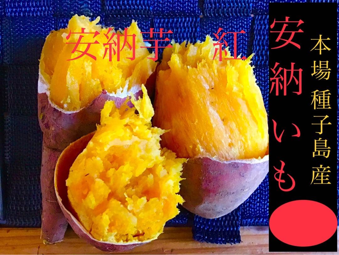 さつまいもの王道　種子島産安納芋本場　Sサイズ20kgどうぞどんと　#20
