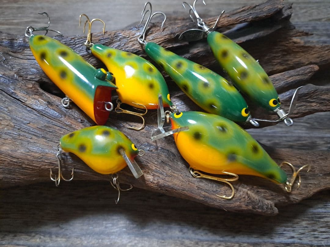 バルサ50　フロッグカラー　6個セット