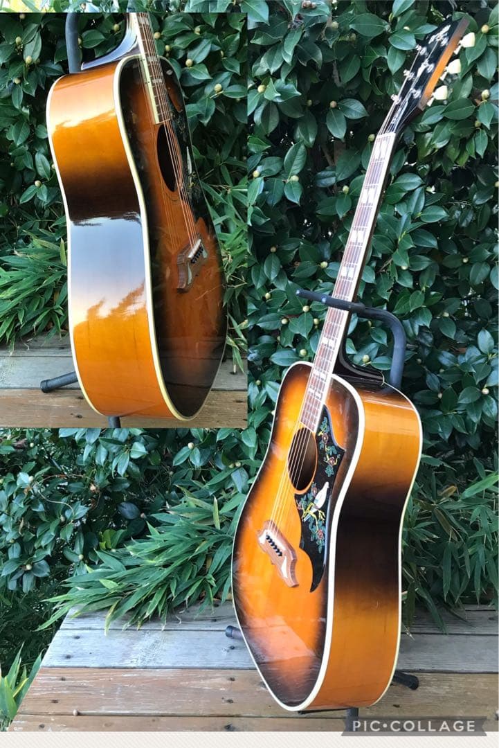 Orville by Gibson DOVE ギブソン