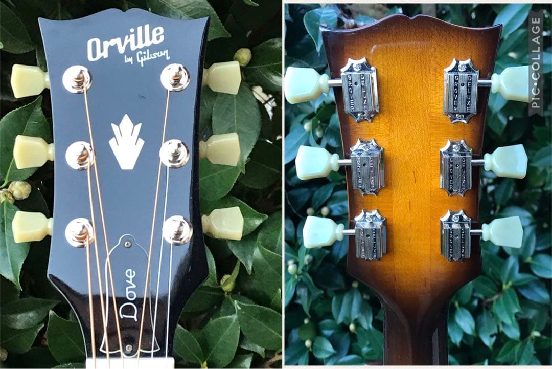 Orville by Gibson DOVE ギブソン