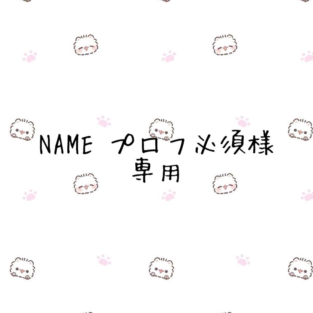 NAME　プロフ必須