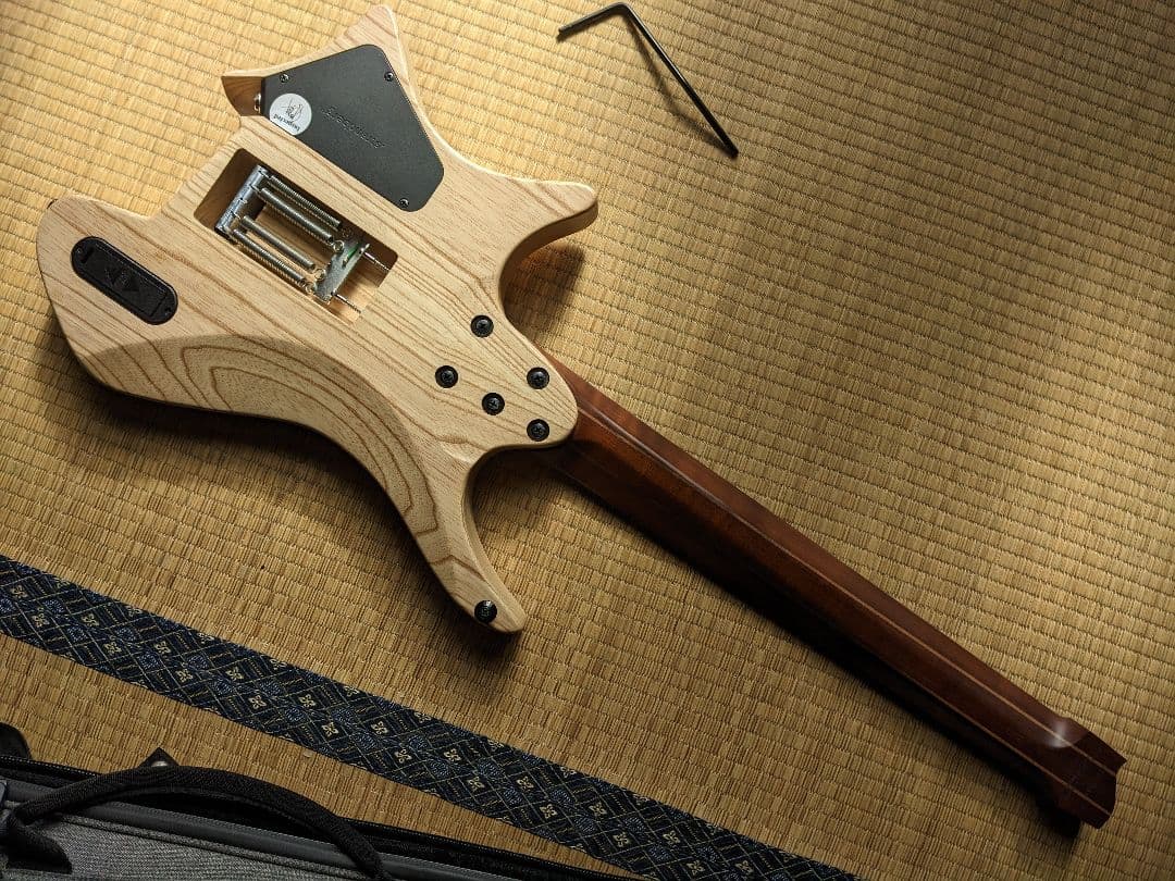 ギター Strandberg Prog 7