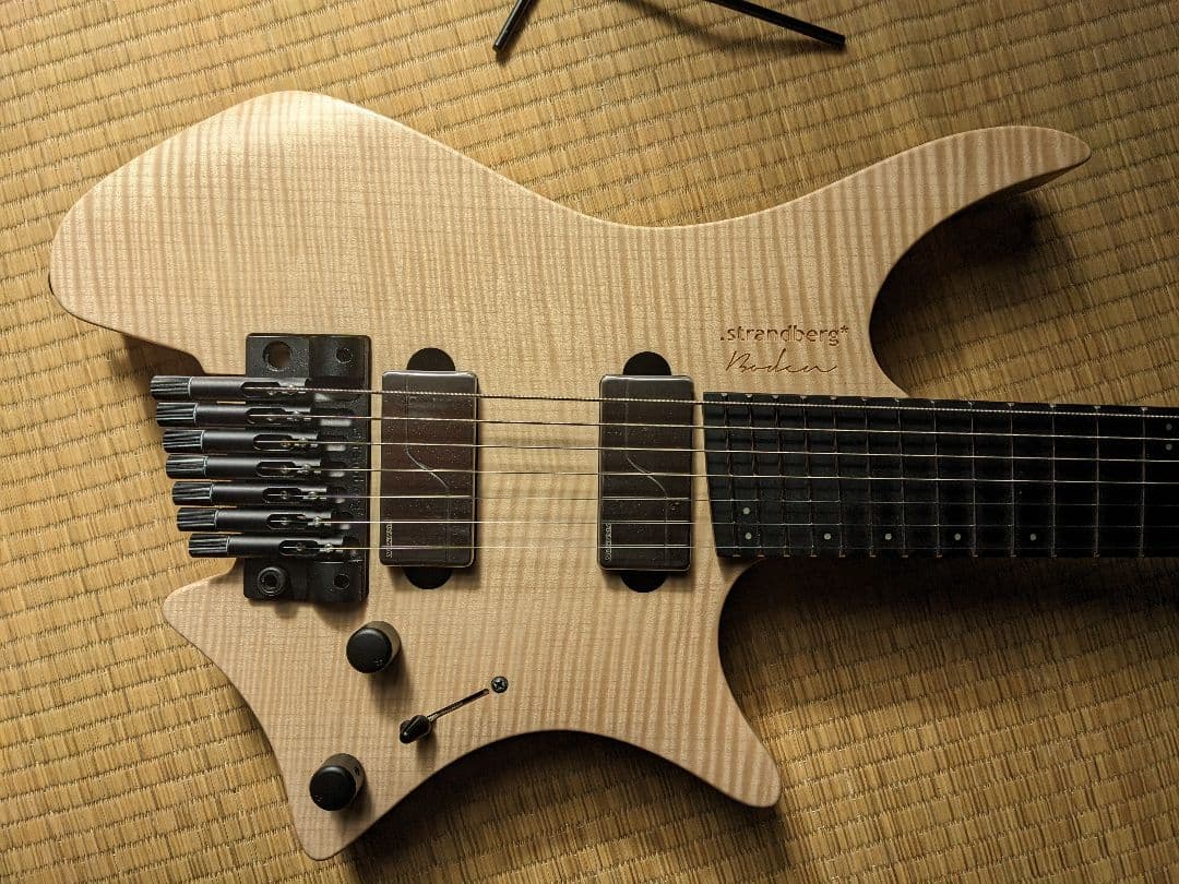 ギター Strandberg Prog 7