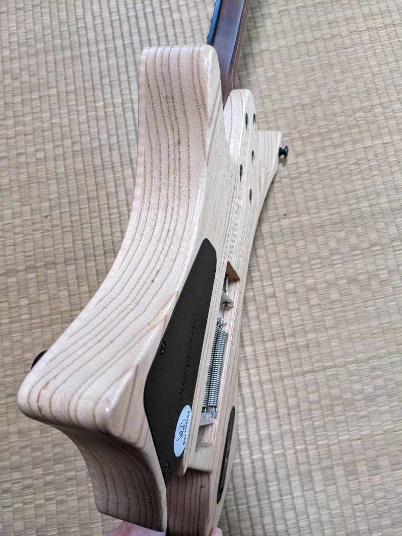 ギター Strandberg Prog 7