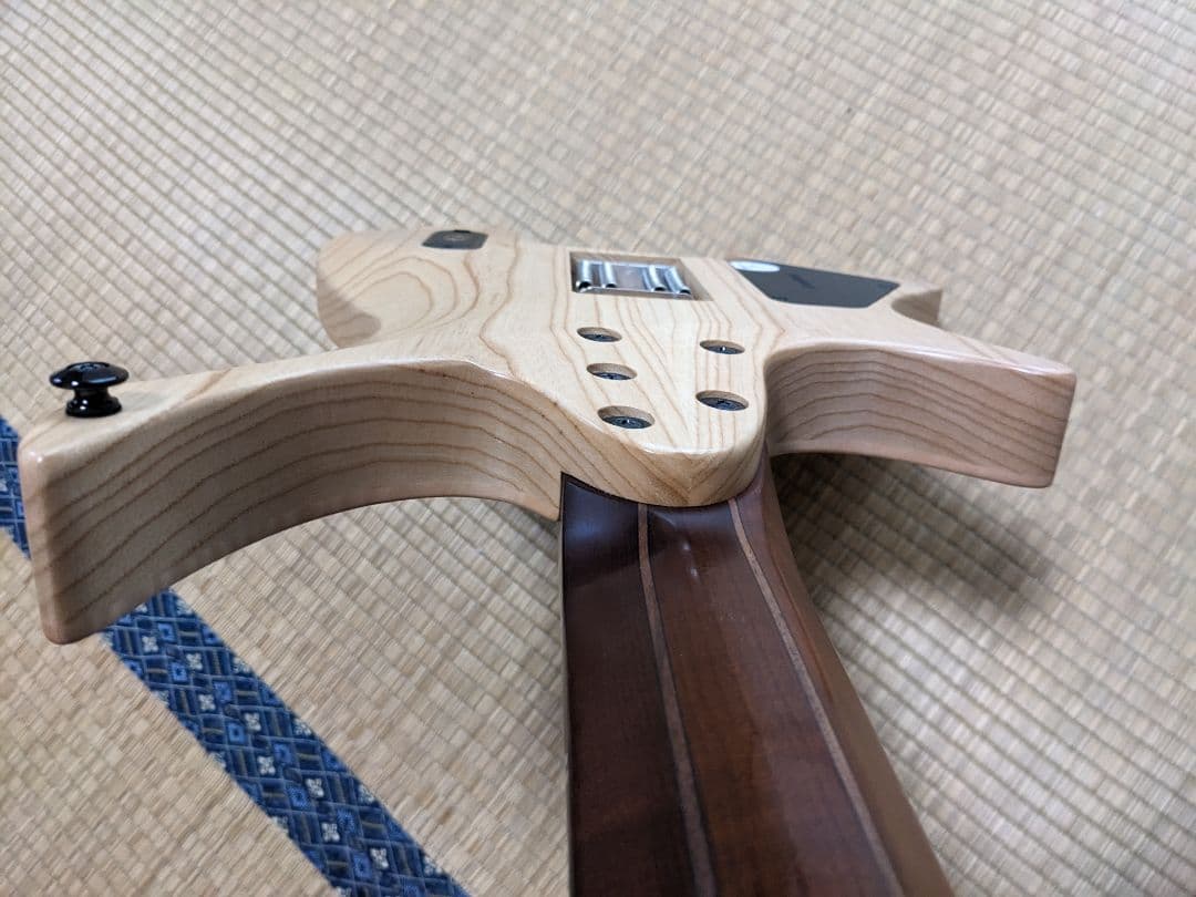 ギター Strandberg Prog 7