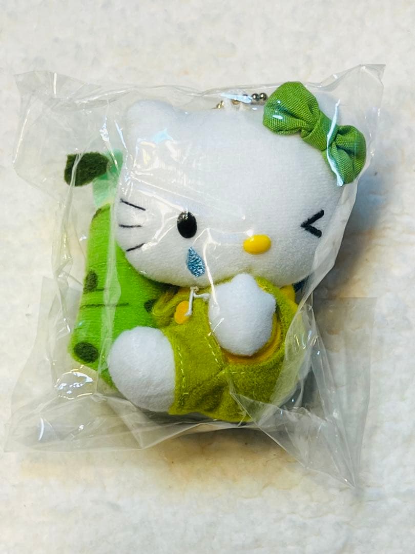 激レア•未開封‼︎ サンリオ　2002 ご当地キティ　信州限定　わさび
