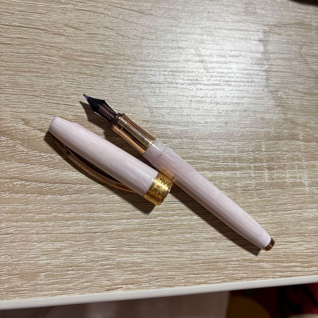 VISCONTI ピンク 万年筆