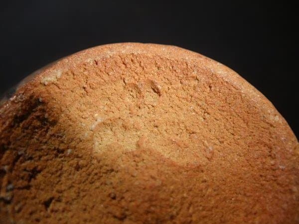 絵唐津 茶碗 中里嘉孝 茶道具 抹茶茶碗 未使用 共布 共箱