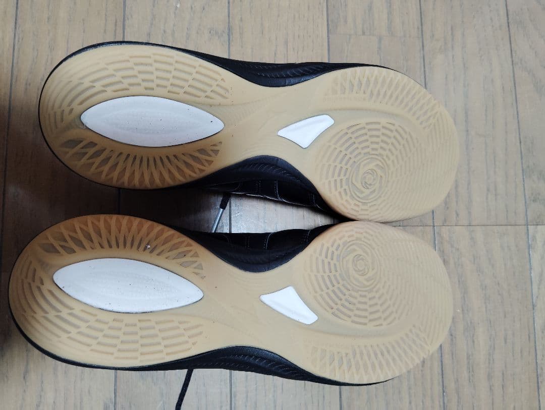 Morelia sala japan モレリアサラ ジャパン in　25cm