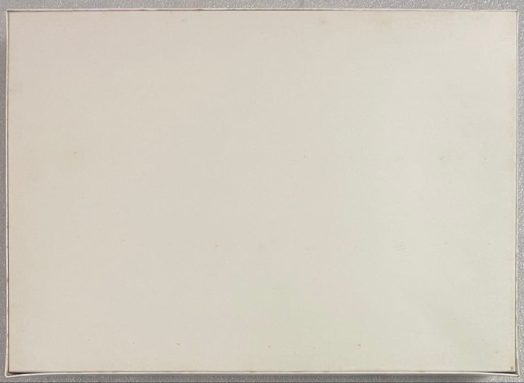 ジグソーパズル トーマスマックナイト thomas mcknight KOBE