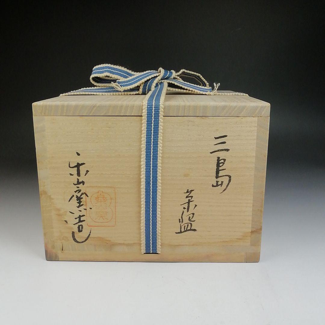 Ｔ６９５　茶碗　『三嶋茶碗』『干支　巳』『楽山窯 造』　共箱　抹茶碗　茶道具