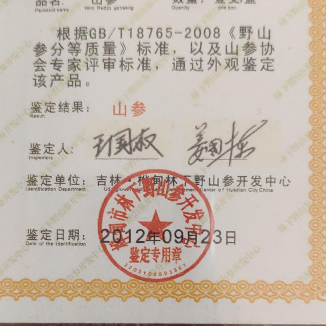 最終値下げ　希少漢方薬材貴重品　中国吉林省天然野山参高級唐木共箱付き　鑑定書付き