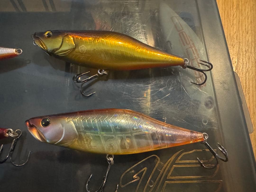 常吉　ハスペン