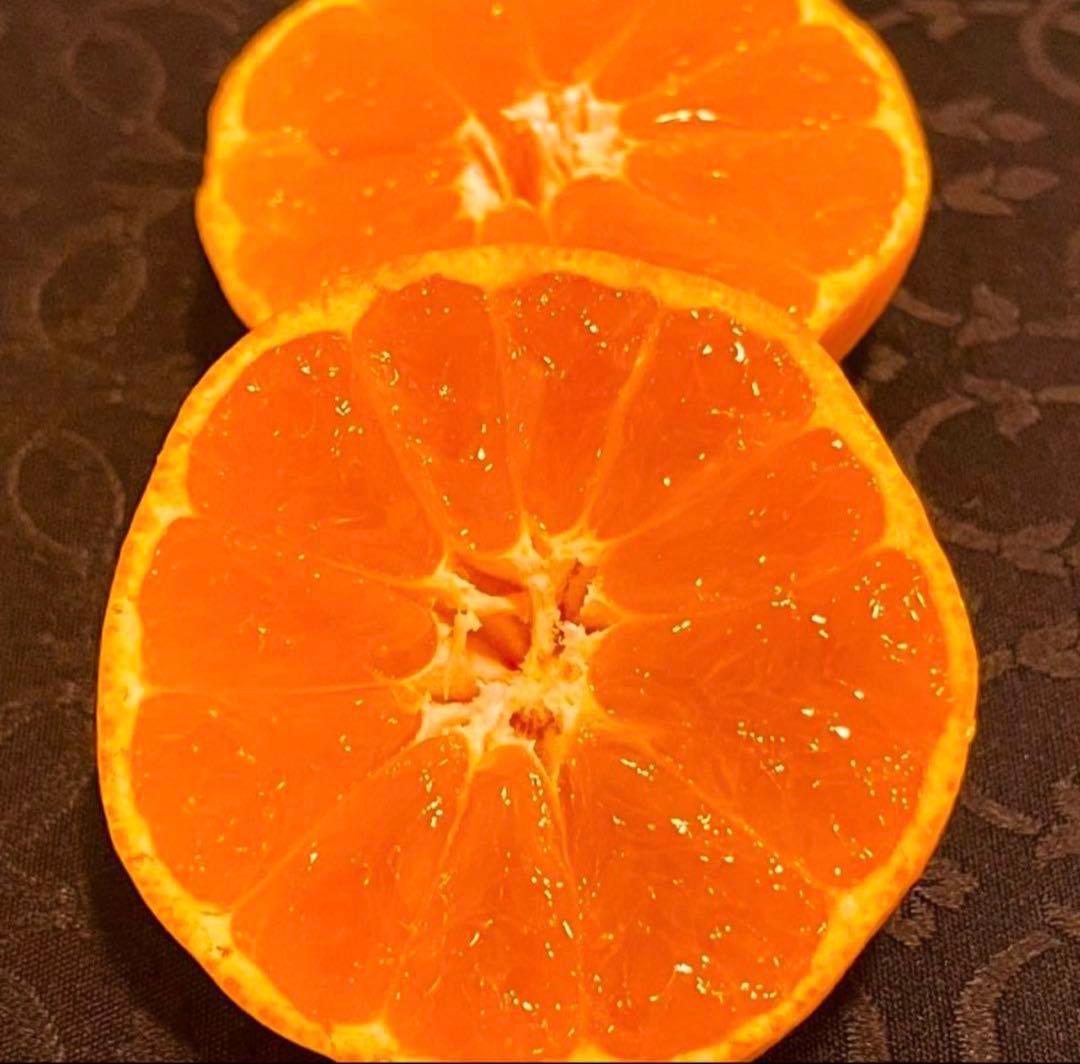 2)数量限定　甘すぎる　有田みかん　果物 　みかん　小玉　旬