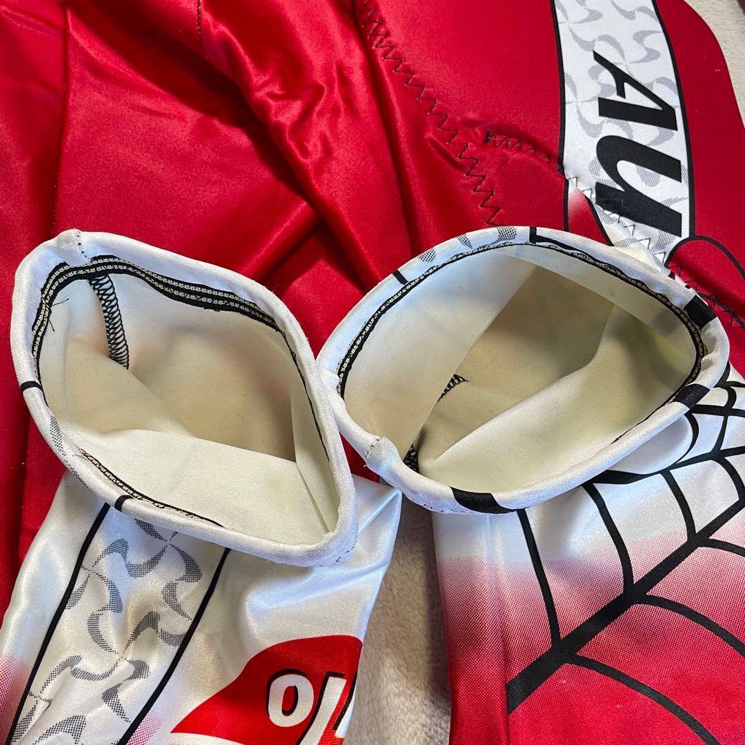 SPYDER アルペン　レーシングスーツ　GS SUIT オーストリア　M