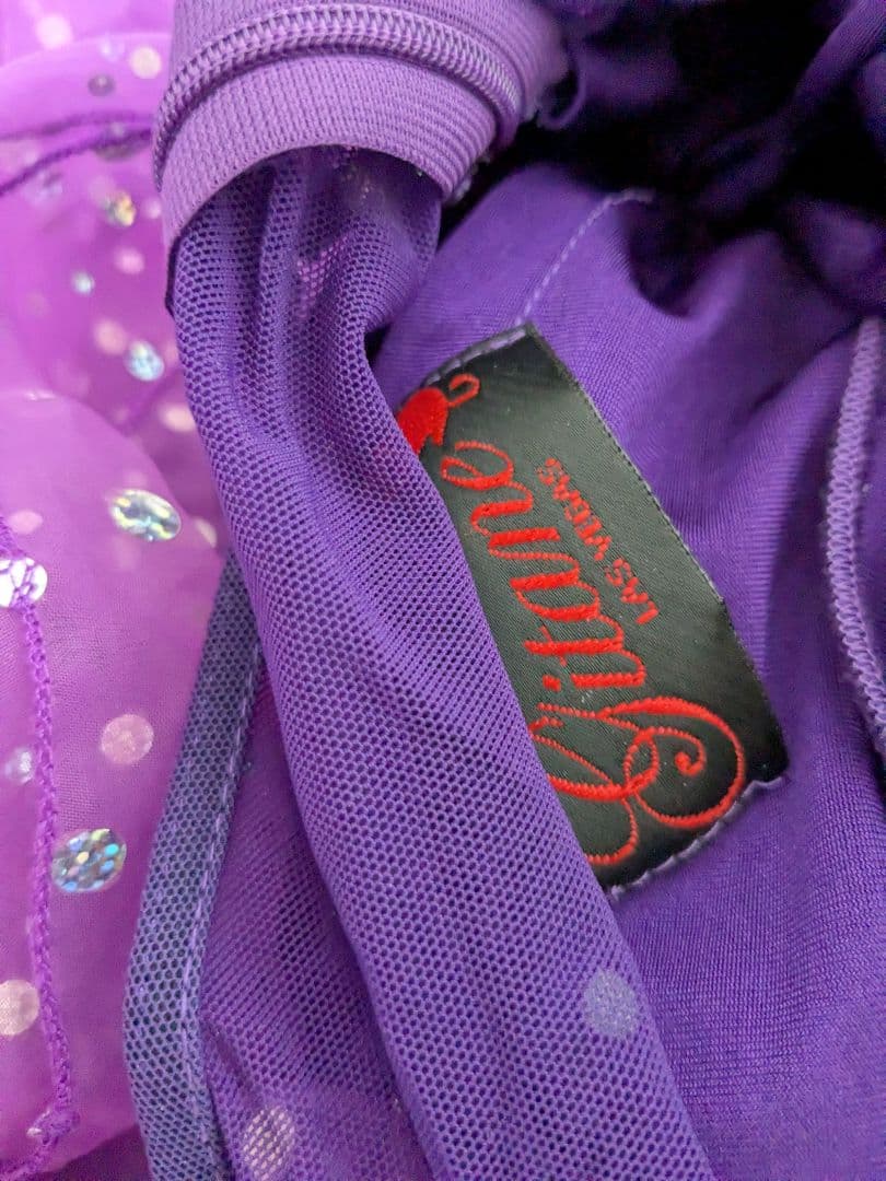 紫色の社交ダンスドレス　スタンダードドレス　モダンドレス