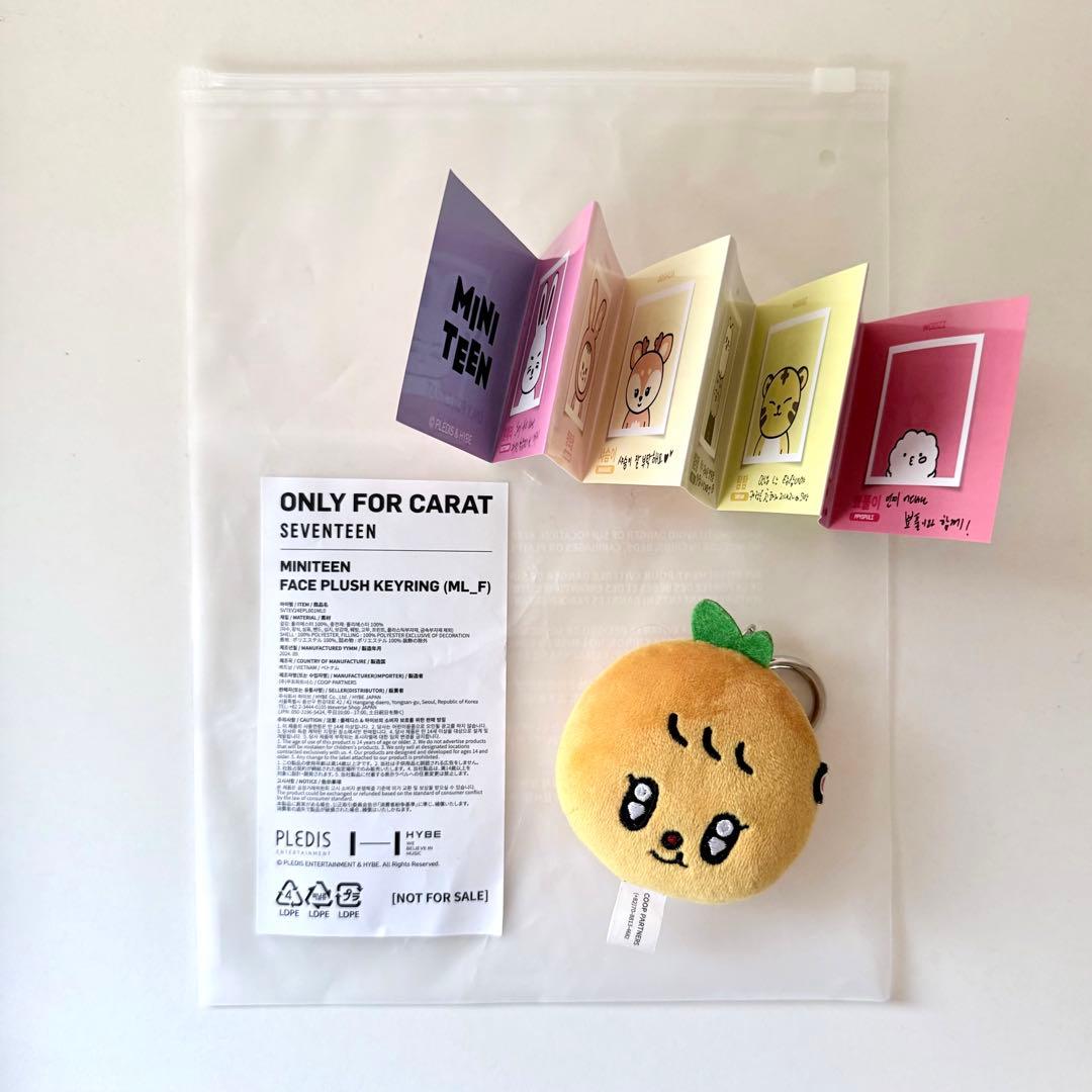 seventeen セブチ spill the feels サノク スングァン