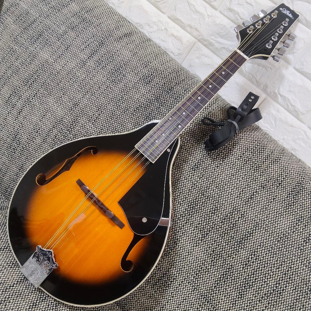 ARIA AM-20 マンドリン 8弦