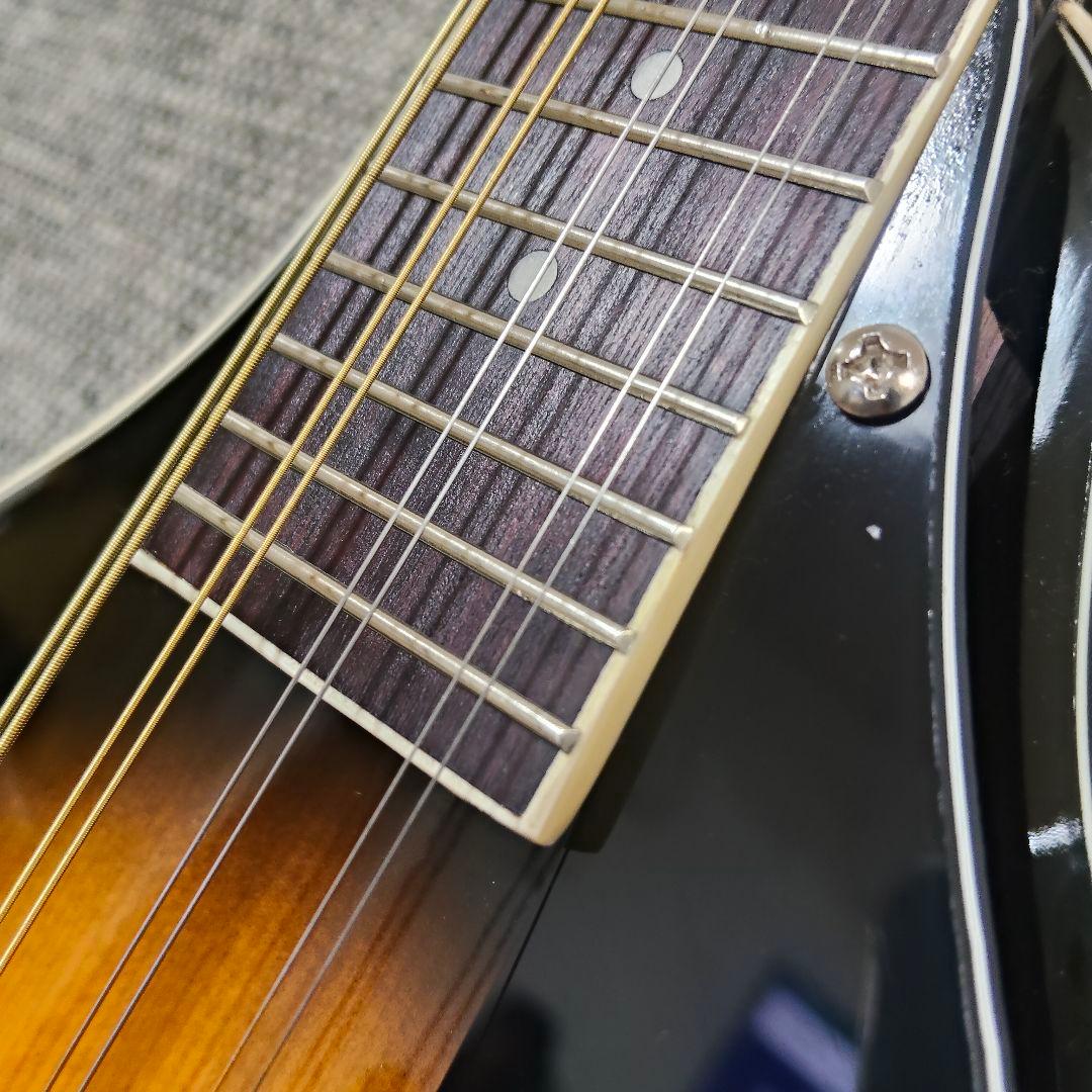 ARIA AM-20 マンドリン 8弦