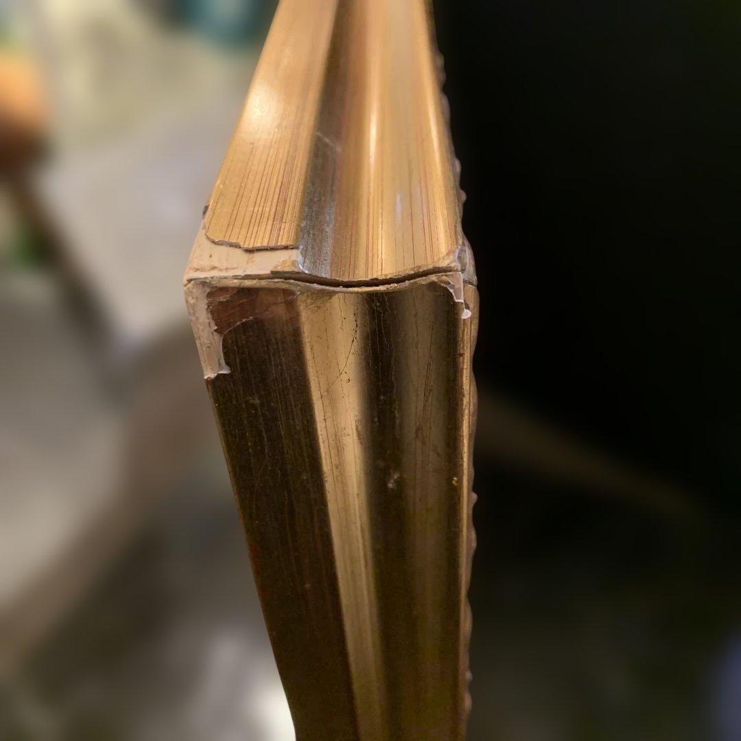 イタリア製 ミモザ 額絵 アート 金枠　BT-491