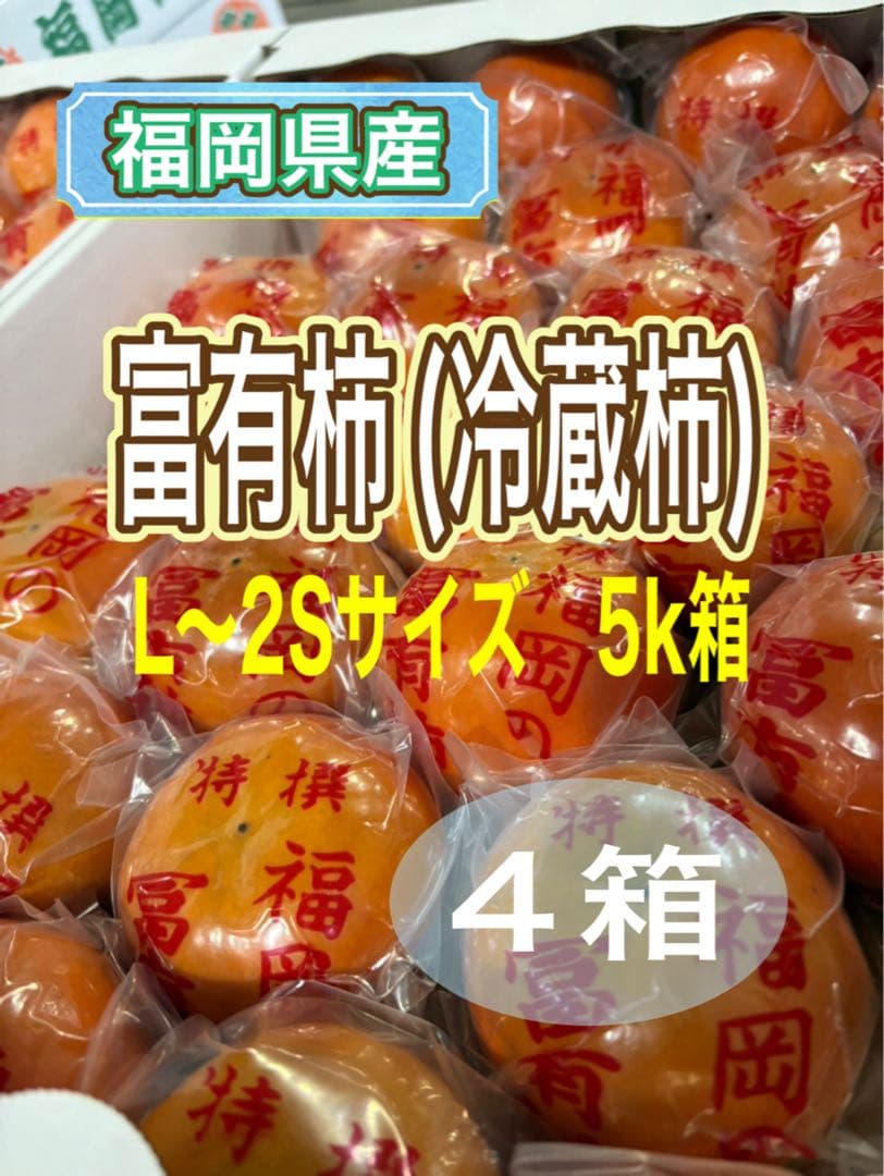 富有柿(冷蔵柿) 4箱　L〜2Sサイズ5k箱　福岡県産