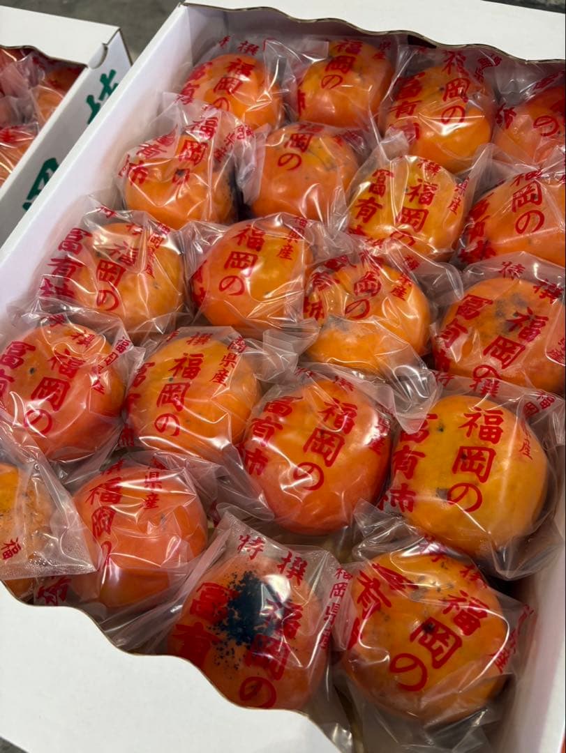 富有柿(冷蔵柿) 4箱　L〜2Sサイズ5k箱　福岡県産