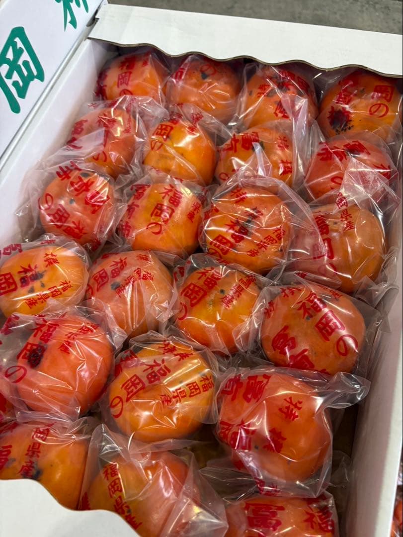 富有柿(冷蔵柿) 4箱　L〜2Sサイズ5k箱　福岡県産