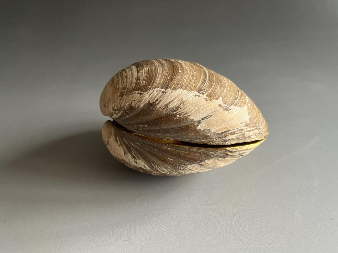 エソ土産　北寄貝　久田宗也　尋牛斎　香合　茶道具　表千家