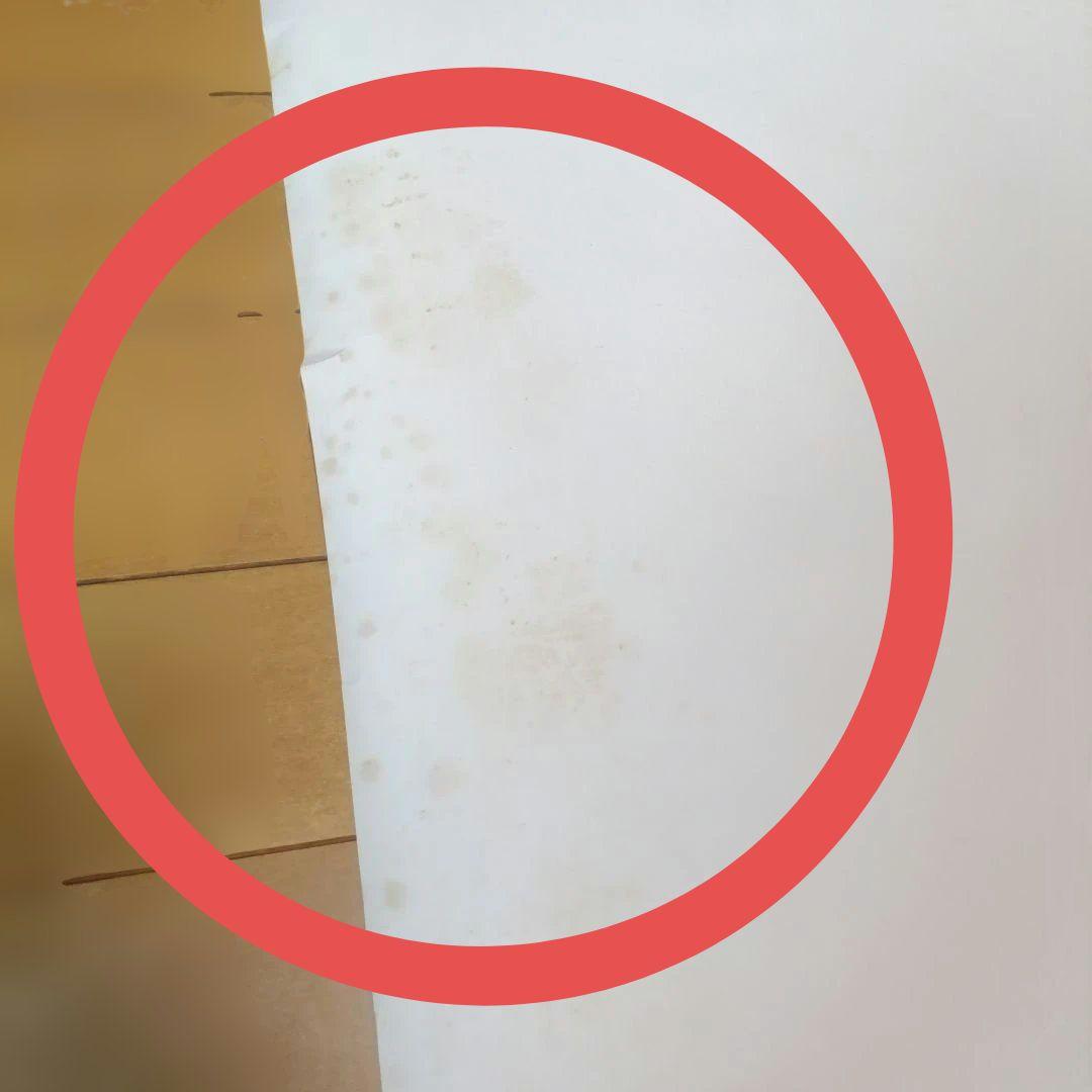 GRATEFUL DEAD 1980 ポスターDead Set