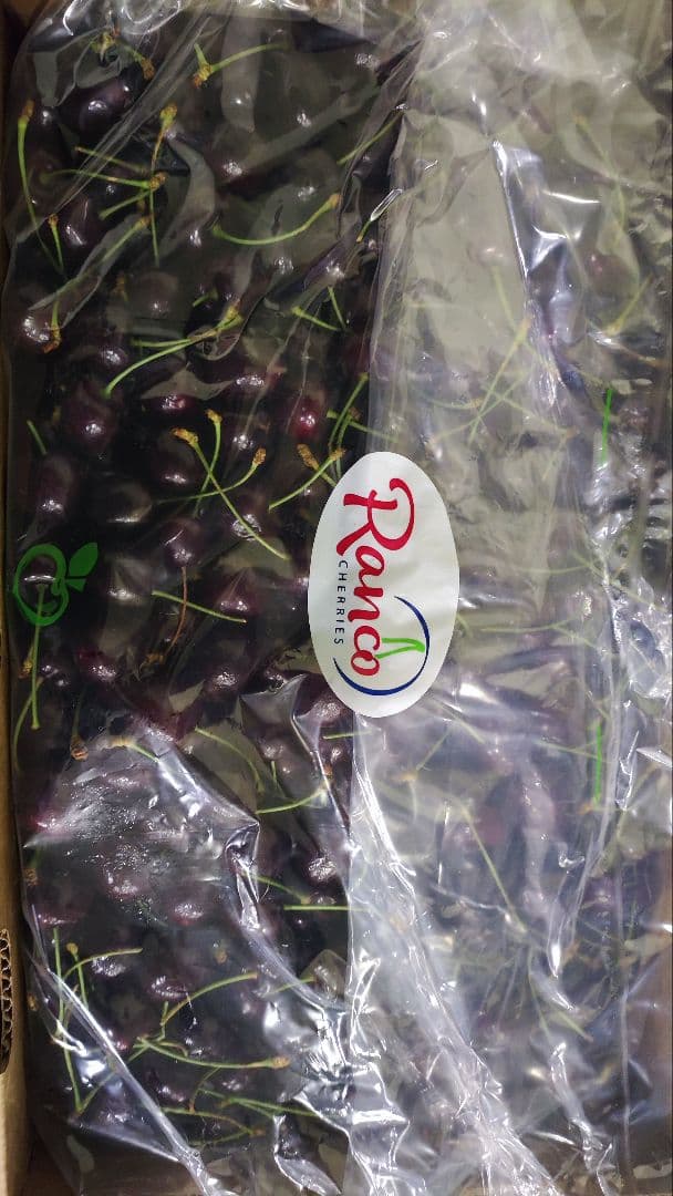 オーストラリア産　チェリー　5キロ